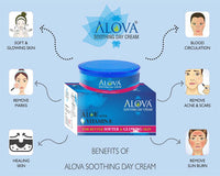 Alova Skin Experts Aloe Vera Cream 100 gm